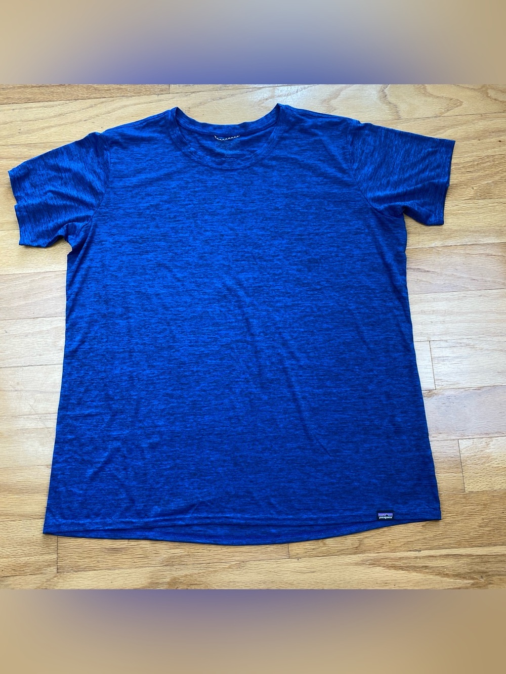 Patagonia Women's XL Capilene Cool Daily Shirt Blue Short Sleeve Performance
